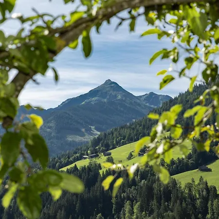 Daire Haus Kilian Alpbach